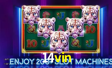 Descubra a Magia dos Jogos de Arcade no 14vin