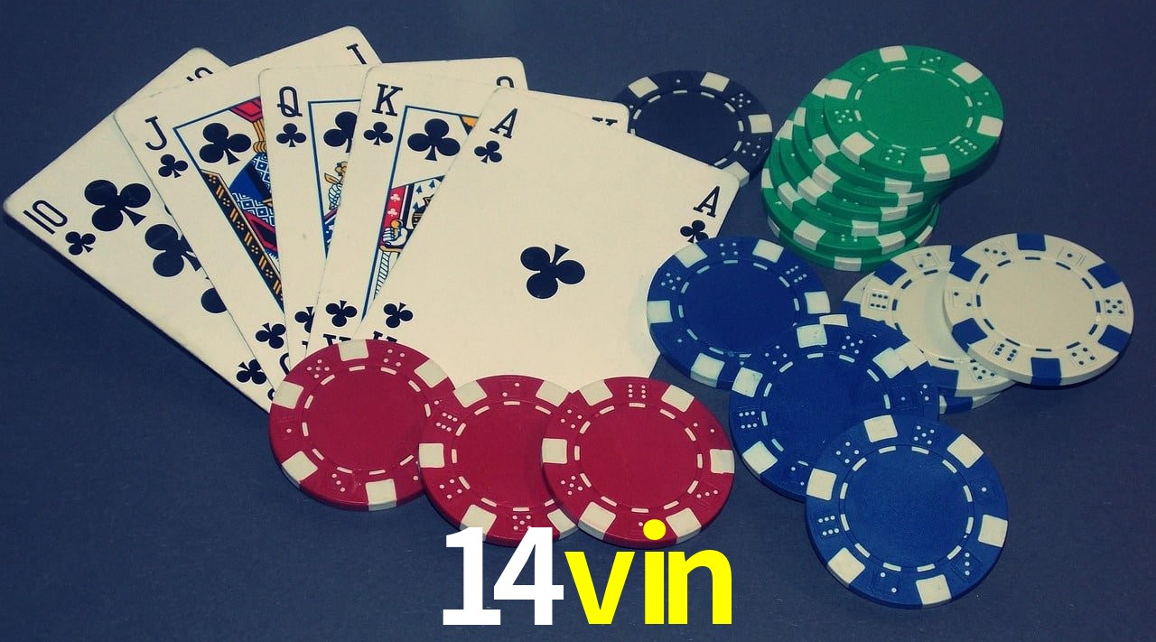 Game Providers 14vin